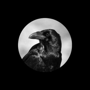 奇米影视四色中文字幕
