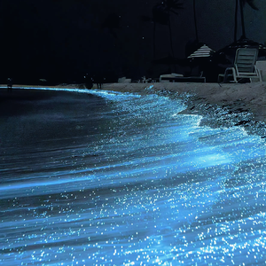 奇米影视四色中文字幕
