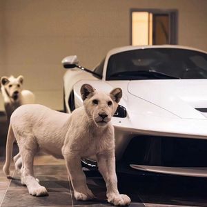 奇米影视四色中文字幕
