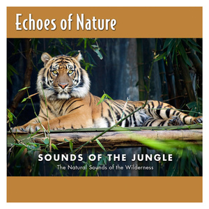 奇米影视四色中文字幕
